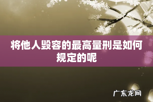 将他人毁容的最高量刑是如何规定的呢