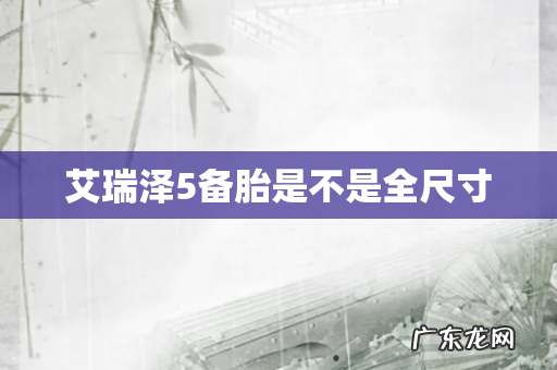 艾瑞泽5备胎是不是全尺寸