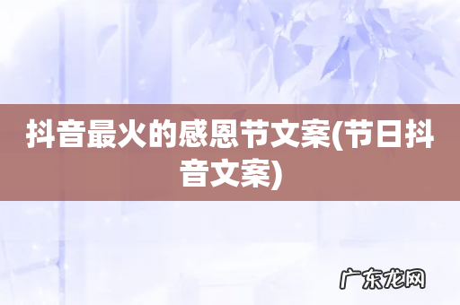 节日抖音文案 抖音最火的感恩节文案