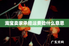 淘宝卖家承担运费险什么意思