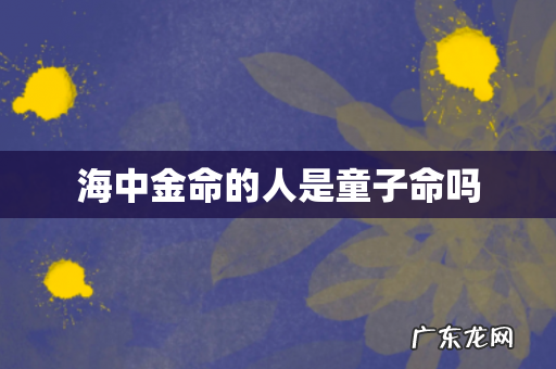 海中金命的人是童子命吗