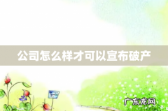 公司怎么样才可以宣布破产