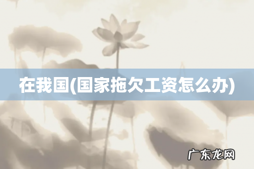 国家拖欠工资怎么办 在我国