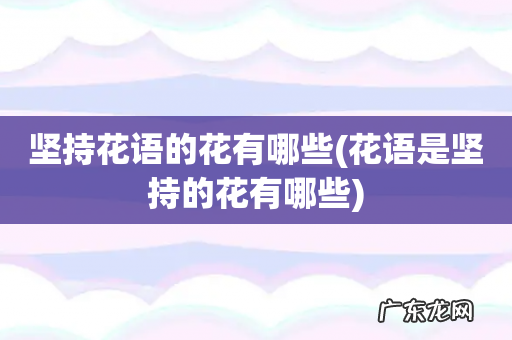 花语是坚持的花有哪些 坚持花语的花有哪些