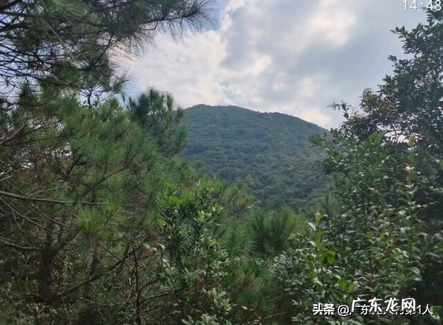 河源龙川县风水 龙川县大帽山