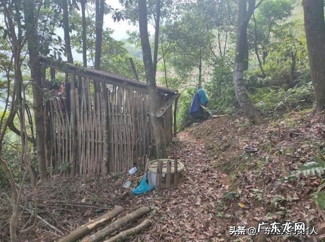 河源龙川县风水 龙川县大帽山