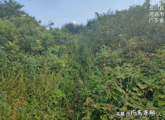 河源龙川县风水 龙川县大帽山