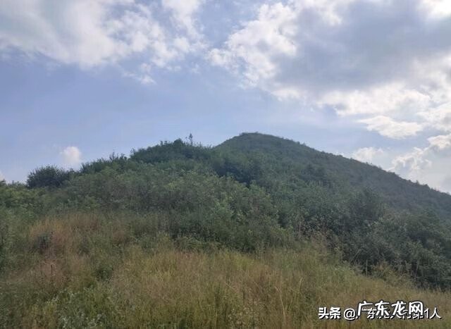 河源龙川县风水 龙川县大帽山