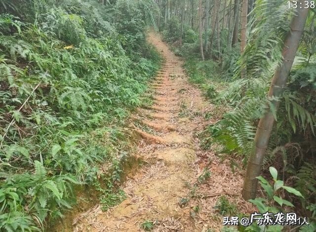 河源龙川县风水 龙川县大帽山