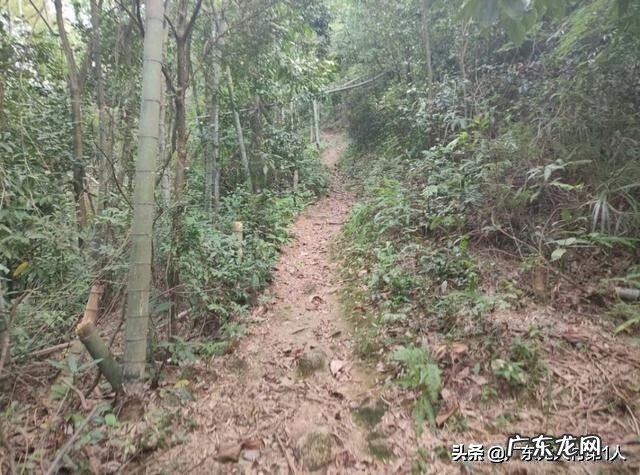 河源龙川县风水 龙川县大帽山