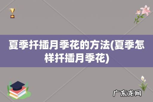 夏季怎样扦插月季花 夏季扦插月季花的方法