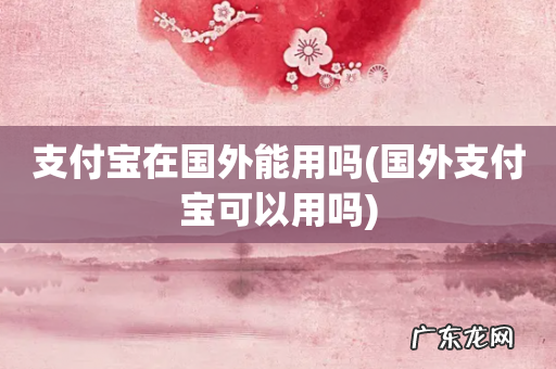 国外支付宝可以用吗 支付宝在国外能用吗