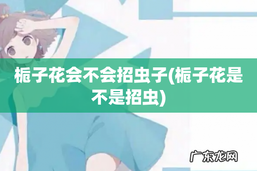 栀子花是不是招虫 栀子花会不会招虫子