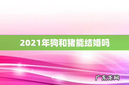 2021年狗和猪能结婚吗