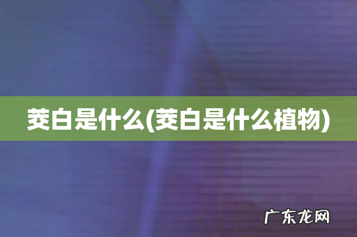 茭白是什么植物 茭白是什么