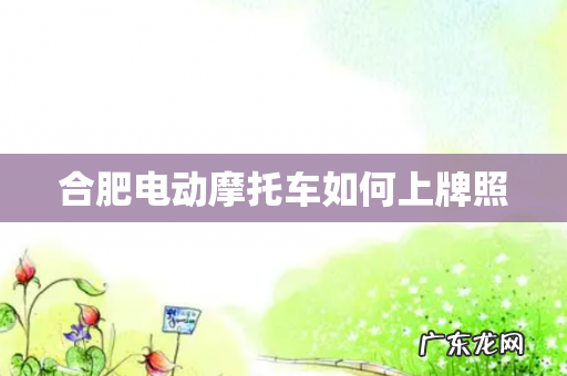 合肥电动摩托车如何上牌照