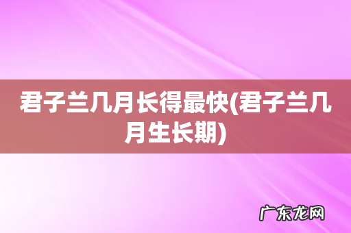 君子兰几月生长期 君子兰几月长得最快