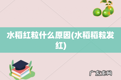 水稻稻粒发红 水稻红粒什么原因