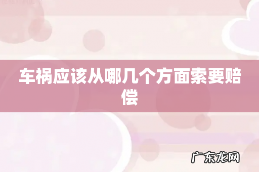 车祸应该从哪几个方面索要赔偿