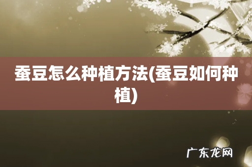 蚕豆如何种植 蚕豆怎么种植方法