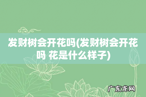 发财树会开花吗 花是什么样子 发财树会开花吗