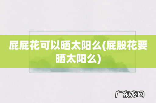 屁股花要晒太阳么 屁屁花可以晒太阳么