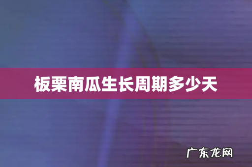 板栗南瓜生长周期多少天