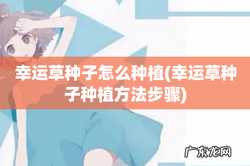 幸运草种子种植方法步骤 幸运草种子怎么种植