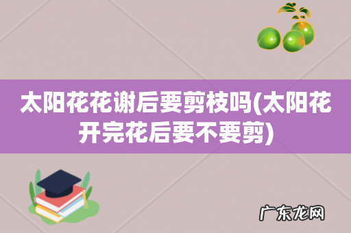 太阳花开完花后要不要剪 太阳花花谢后要剪枝吗