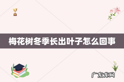 梅花树冬季长出叶子怎么回事