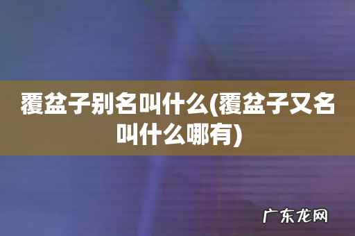 覆盆子又名叫什么哪有 覆盆子别名叫什么