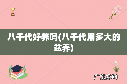 八千代用多大的盆养 八千代好养吗