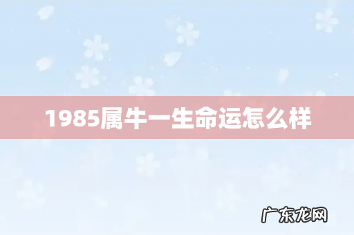 1985属牛一生命运怎么样