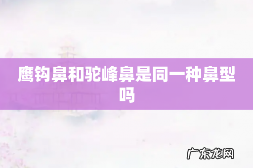 鹰钩鼻和驼峰鼻是同一种鼻型吗