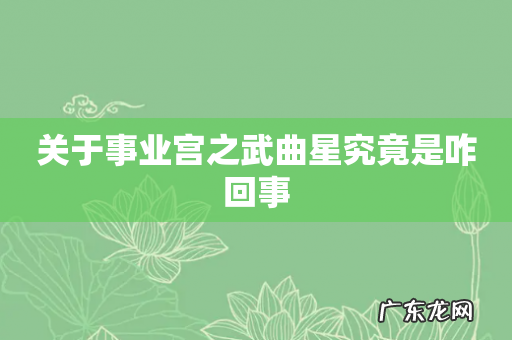 关于事业宫之武曲星究竟是咋回事