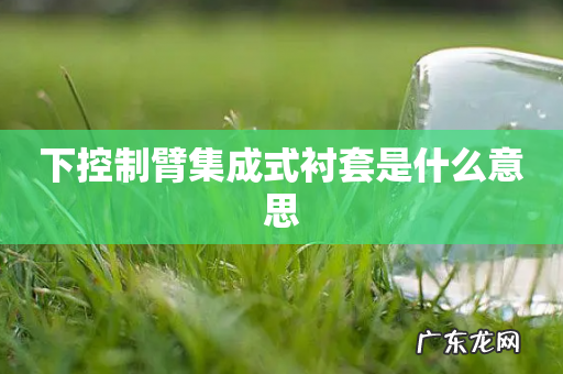 下控制臂集成式衬套是什么意思