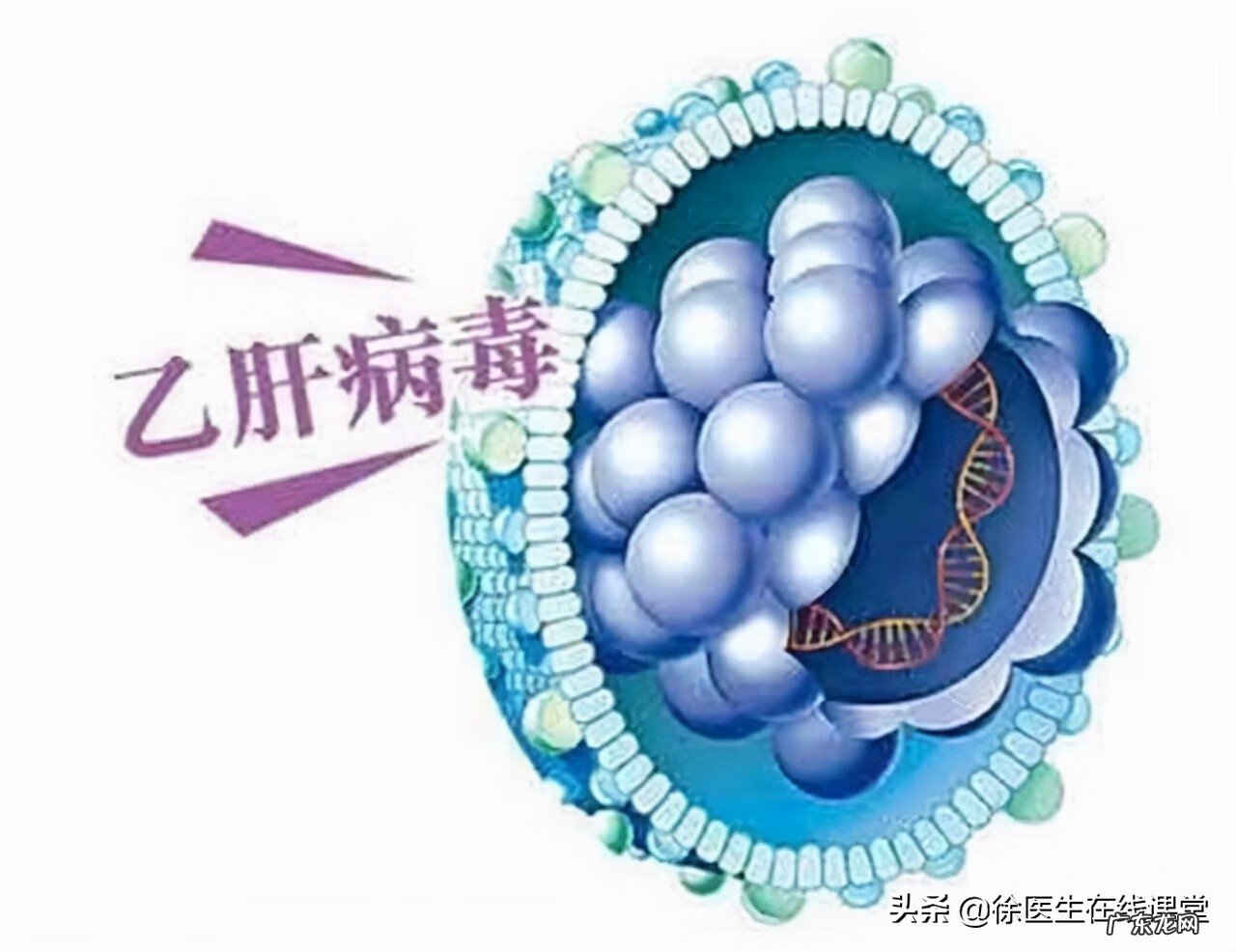 谷草谷丙偏高1.7 谷草谷丙偏高1.2