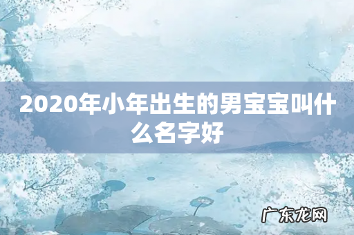 2020年小年出生的男宝宝叫什么名字好