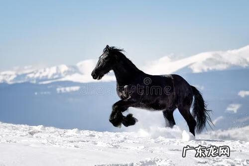 中山市圣贤山庄 广东圣贤山庄风水