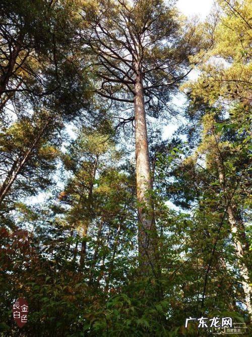 中山市圣贤山庄 广东圣贤山庄风水