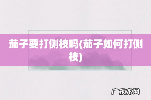 茄子如何打侧枝 茄子要打侧枝吗