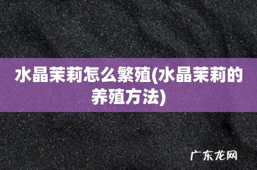 水晶茉莉的养殖方法 水晶茉莉怎么繁殖