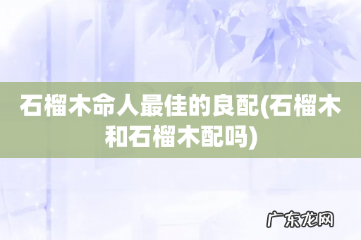 石榴木和石榴木配吗 石榴木命人最佳的良配