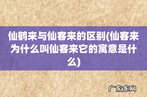 仙客来为什么叫仙客来它的寓意是什么 仙鹤来与仙客来的区别