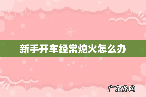新手开车经常熄火怎么办