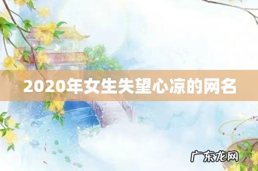 2020年女生失望心凉的网名