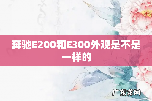奔驰E200和E300外观是不是一样的