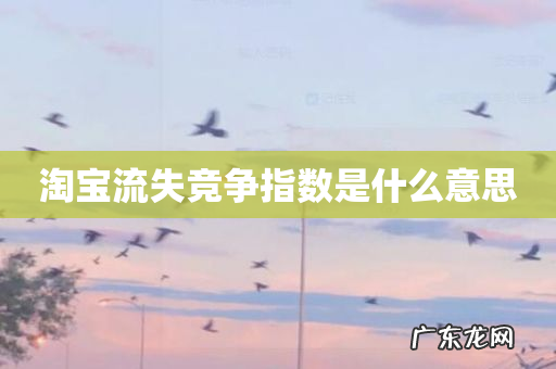 淘宝流失竞争指数是什么意思
