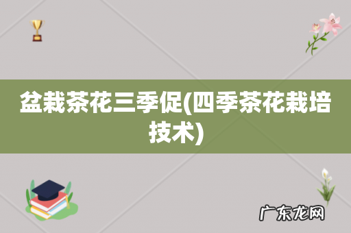 四季茶花栽培技术 盆栽茶花三季促