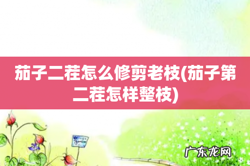 茄子第二茬怎样整枝 茄子二茬怎么修剪老枝